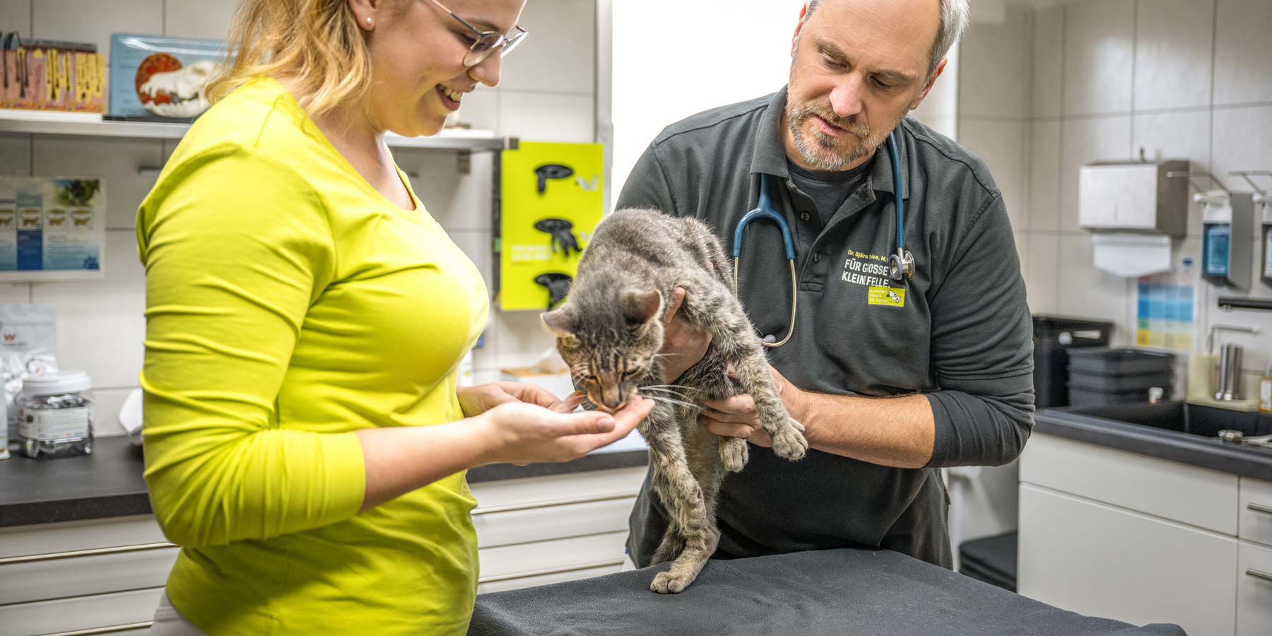 Tierärztliche Leistungen - Operationen